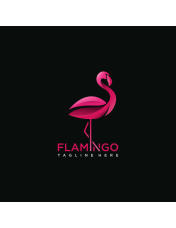 Flamenco rosa